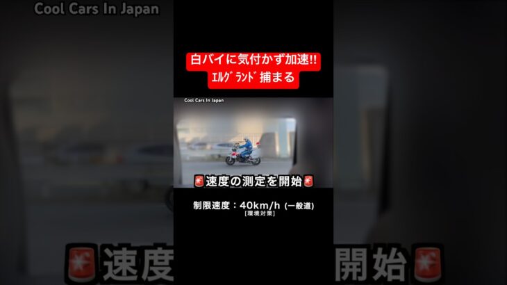 白バイに気付かず加速⁉️ エルグランド捕まる‼️ #shorts