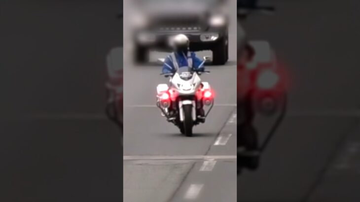 サイレン‼️ 白バイが捕まえる瞬間‼️ #shorts