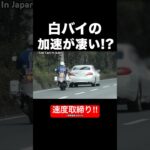 白バイが『猛加速』で違反車を追う‼️ #shorts