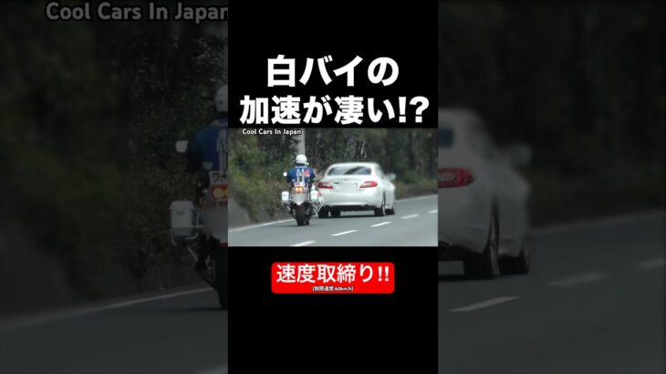 白バイが『猛加速』で違反車を追う‼️ #shorts