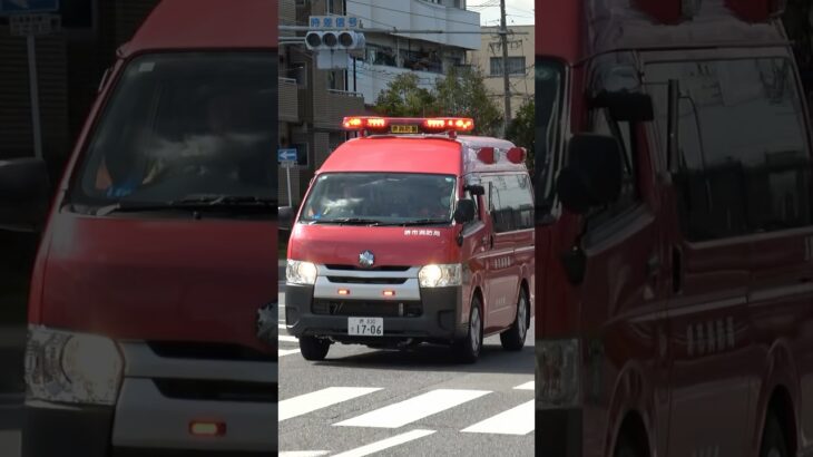 【緊急走行】堺指揮、堺中隊長緊急走行！！【堺市消防局】#shorts  #緊急走行 ＃消防車 #救急車 #emergency #fire #救急車＃サイレン