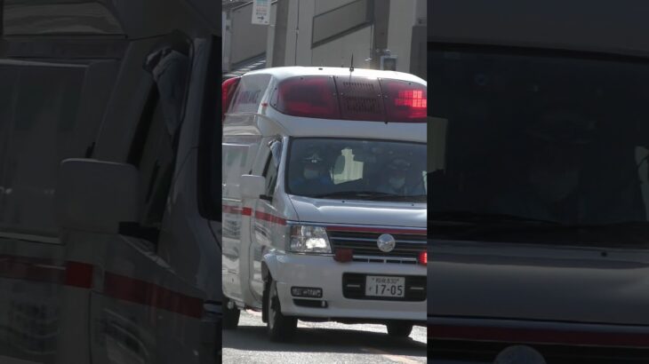 【緊急走行】高石非常救急、緊急走行！【堺市消防局】#shorts  #ショート #消防署 #消防車 #fire #firefighter #サイレン#救急車 #救急 #はしご車