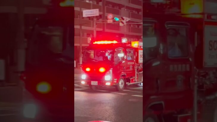 【緊急走行】北ポンプ、緊急走行！【堺市消防局】#shorts  #ショート #消防署 #消防車 #fire #firefighter #サイレン#救急車 #救急 #はしご車