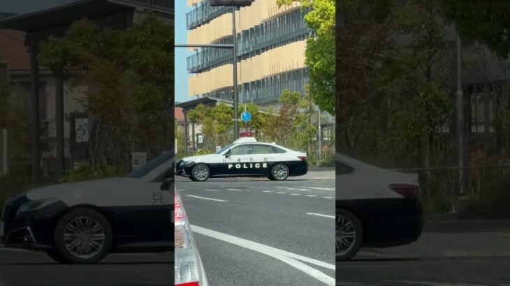🚨パトカー🚨パトロール🚨兵庫県警🚨 #パトカー #兵庫県警 #shorts #short