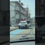 🚨違反車を捕まえたパトカー🚨兵庫県警🚨 #パトカー #shorts #short #shortvideo