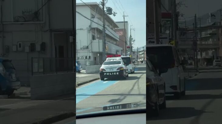🚨違反車を捕まえたパトカー🚨兵庫県警🚨 #パトカー #shorts #short #shortvideo