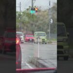 🚨消防車両🚨 #消防車 #消防車両 #shorts #short #shortvideo #shortsfeed