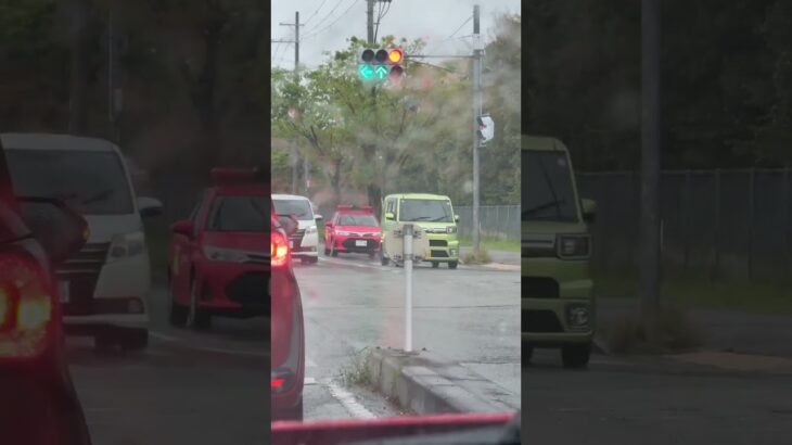 🚨消防車両🚨 #消防車 #消防車両 #shorts #short #shortvideo #shortsfeed