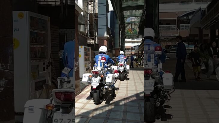 🫡🫡🫡白バイが格好いい🫡🫡🫡 #白バイ #白バイ隊員 #兵庫県警 #shorts #shortsfeed