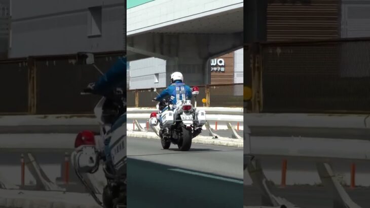 🚨白バイが格好いい🚨走行動画🚨 #白バイ #兵庫県警 #shorts #shortvideo