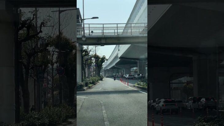 🚨警察バイク🚨警察官🚨パトロール🚨兵庫県警🚨 #警察バイク #警察官 #shorts #shortvideo