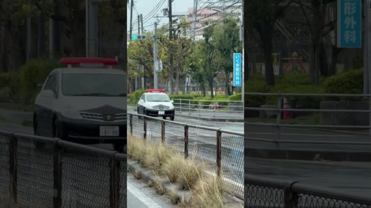 🚨パトカー🚨赤色灯🚨パトロール🚨兵庫県警🚨 #パトカー #赤色灯 #shorts #shortvideo