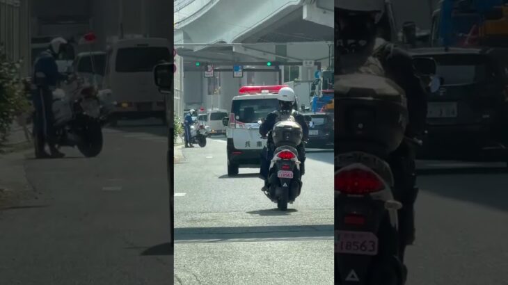 😳😳😳白バイとパトカーと警察バイク😳😳😳 #白バイ #赤色灯 #パトカー #shorts #shortvideo