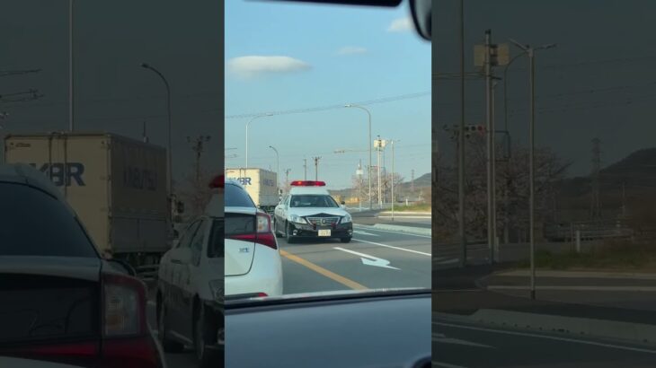 🚨パトカー🚨赤色灯🚨兵庫県警🚨 #パトカー #兵庫県警 #shorts #shortvideo