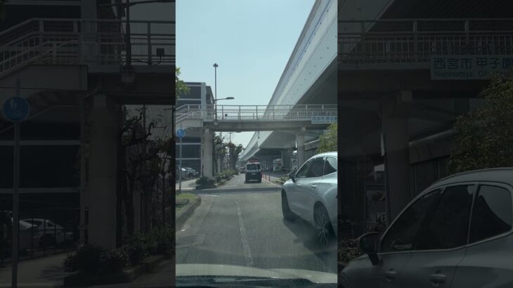 🚨赤色灯🚨警察車両🚨兵庫県警🚨 #警察車両 #兵庫県警 #パトカー #shorts #shortvideo