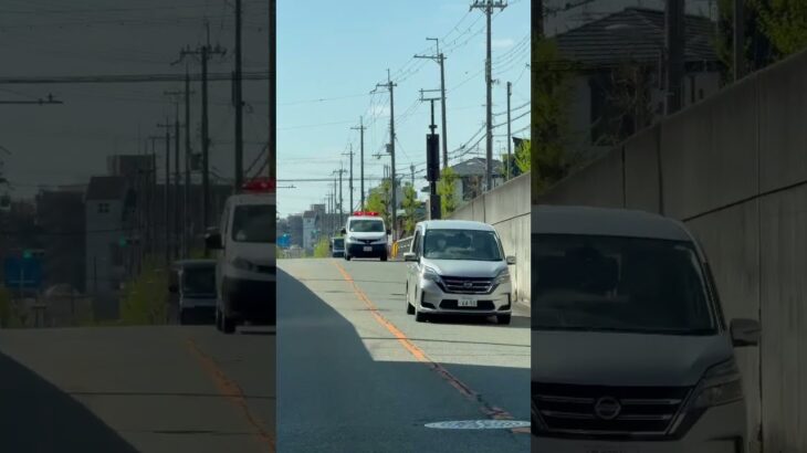 🚨警察車両🚨赤色灯🚨兵庫県警🚨 #パトカー #警察車両 #shorts #shortvideo