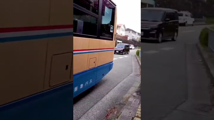 😳😳衝撃😳😳バスに車が突っ込んだ😳😳😳 #交通事故 #事故 #shorts #shortvideo