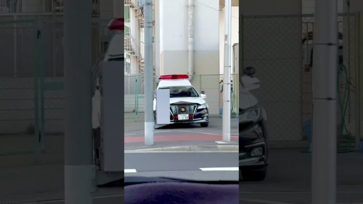 🚨パトカー🚨大阪府警🚨 #パトカー #大阪府警 #shorts #shortvideo