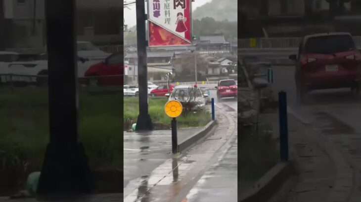 🚨覆面パトカー🚨赤色灯🚨 #覆面パトカー #赤色灯 #shorts #shortvideo