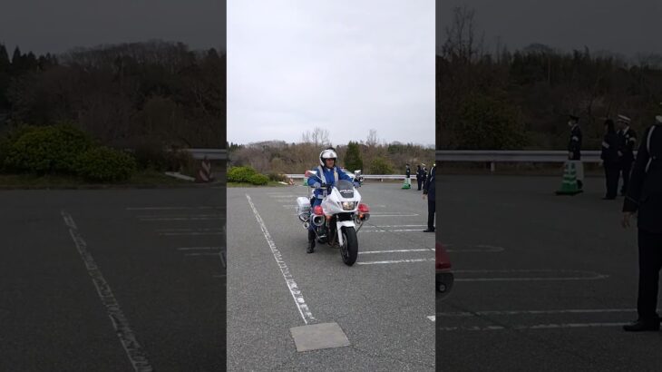 🚨白バイ登場🚨 #白バイ #春の全国交通安全運動 #shorts #shortvideo