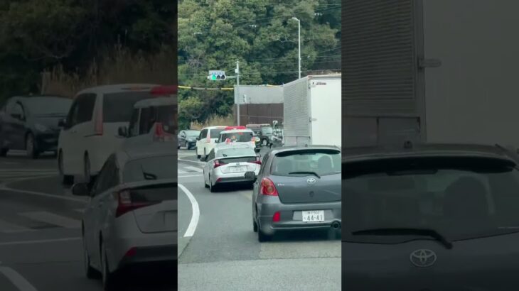 🚨パトカー🚨赤色灯🚨パトロール🚨 #パトカー #赤色灯 #shorts #shortvideo #short