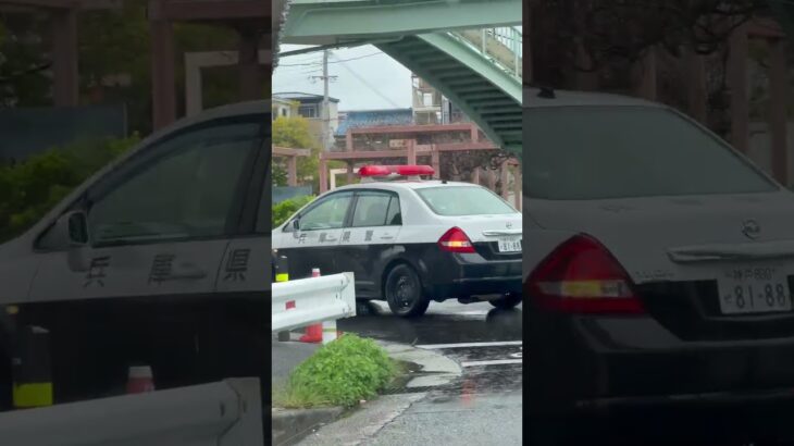 🚨パトカー🚨パトロール🚨兵庫県警🚨赤色灯🚨 #パトカー #shorts #shortvideo #short