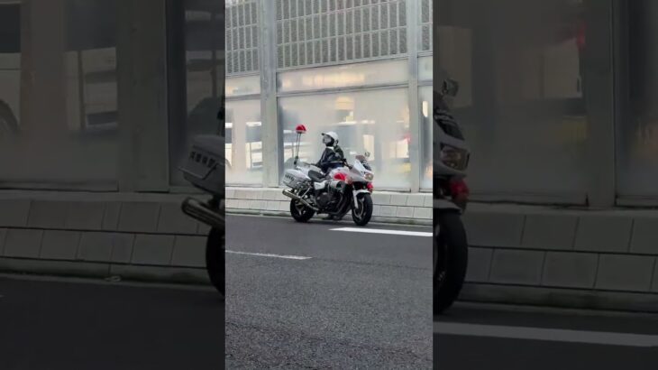 🚨白バイ🚨違反者を捕まえる🚨兵庫県警🚨 #白バイ #白バイ隊員 #shorts #shortvideo #short