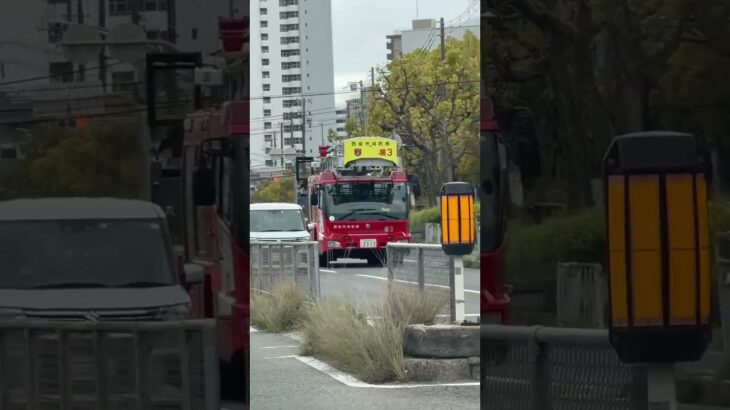 😳😳😳はしご車が走ってた😳😳😳 #はしご車 #消防車 #shorts #shortvideo #shortsfeed