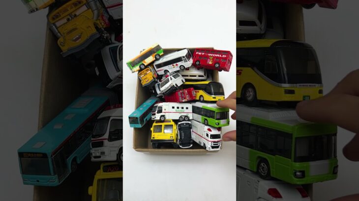 バスと救急車のミニカーが走る！坂道走行テスト #トミカ #toys