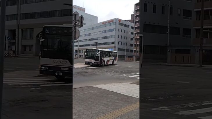 救急車緊急走行 #札幌市消防局 #緊急走行#救急車