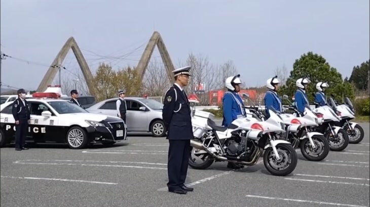 🚨白バイ🚨覆面パトカー🚨パトカー🚨が集結🚨 #白バイ #覆面パトカー #パトカー