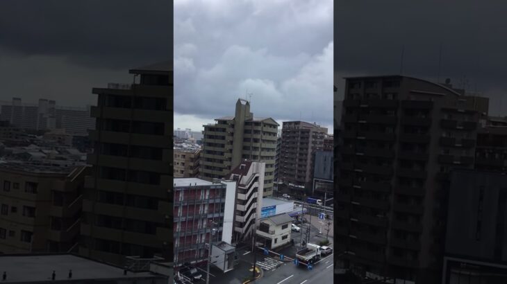 #救急車 #消防署 消防車緊急走行