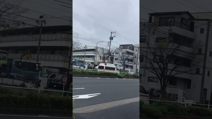 救急車🚑緊急走行🦺🚨 #救急車 #消防署 #警察