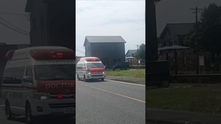 【緊急走行】ランデブーポイントから救急搬送!天陽会中央病院ドクターカー