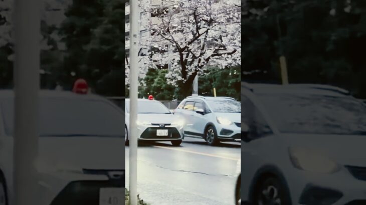 千葉県警　覆面パトカー　緊急走行