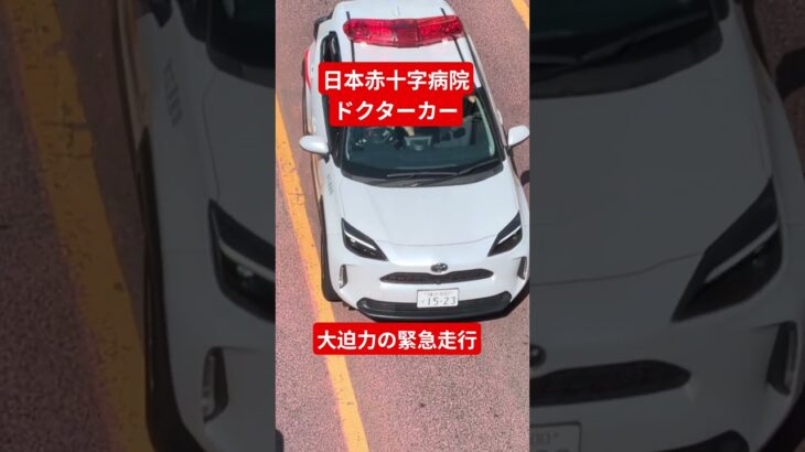 激レア！日本赤十字病院のドクターカーが緊急走行！！ #日本赤十字社 #サイレン #救急車
