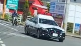 パトカー　緊急走行