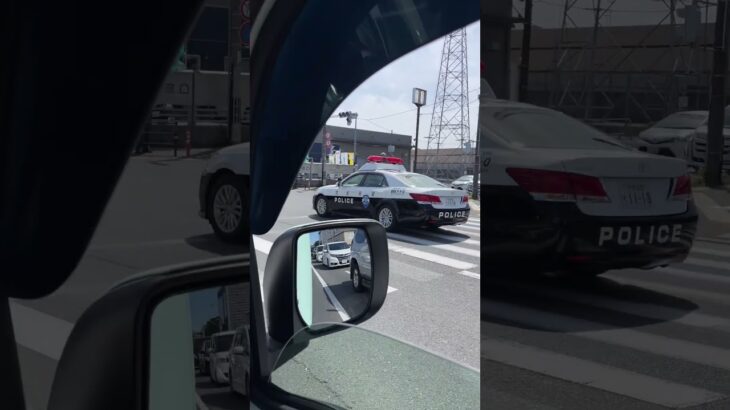 【緊急走行】京都府警自ら隊とカムリ機捜？久世橋通りを緊走#京都府警 #パトカー #緊急走行