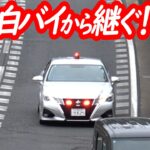 白バイ２台と入れ替わり！場を引き継いだ覆面パトカーが所轄パトカーの傍らで次々と！【ゴネるドライバーにも安全配慮が良きスピード違反取り締まり】
