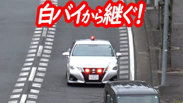 白バイ２台と入れ替わり！場を引き継いだ覆面パトカーが所轄パトカーの傍らで次々と！【ゴネるドライバーにも安全配慮が良きスピード違反取り締まり】