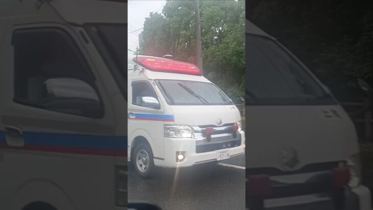 【緊急走行】鹿児島市消防局甲南非常用救急隊（上町救急代車運用中）