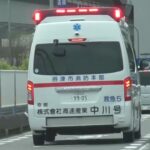 🚨響き渡るサイレン🚨救急車🚨緊急走行🚨 #救急車 #緊急走行 #サイレン