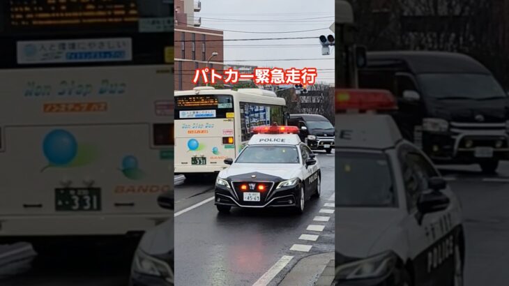 【迫力ある‼️】パトカー緊急走行シーン