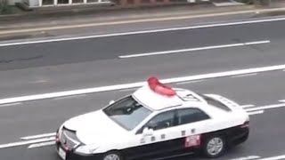 パトカー　緊急走行