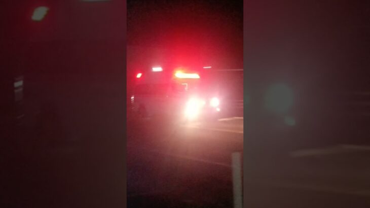 【緊急走行】鹿児島市消防局南本署非常用救急隊（喜入救急代車運用中）