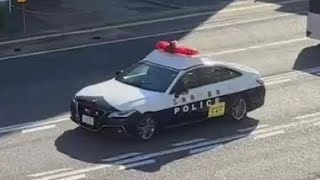 パトカー　緊急走行