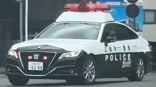 パトカー　緊急走行