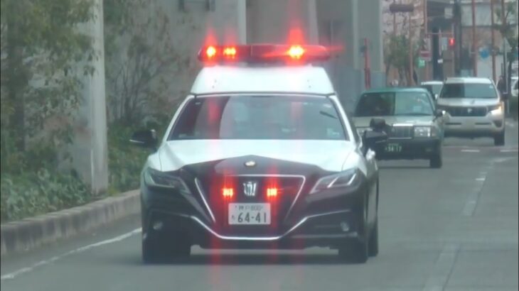 🚨パトカー🚨赤色灯🚨兵庫県警🚨　#パトカー #赤色灯