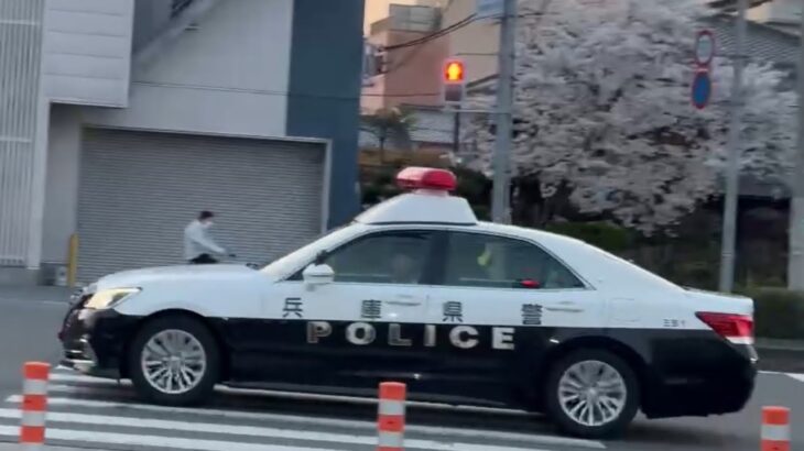 🚨パトカー🚨兵庫県警🚨パトロール🚨　#パトカー #兵庫県警