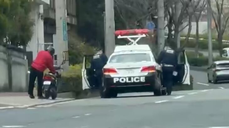 🚨違反バイクを捕まえたパトカー🚨赤色灯🚨兵庫県警🚨 #パトカー #交通取締り